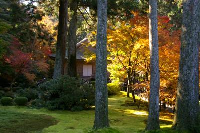 紅葉の京都～大原 三千院の仏様に逢いに・・そうだ京都へ行こう！～