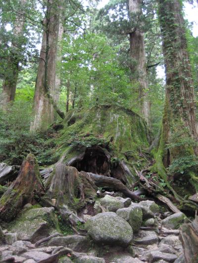屋久島の旅~台風接近