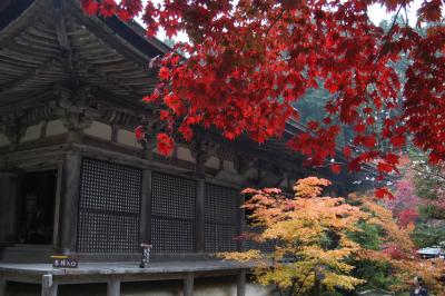 湖東三山の紅葉