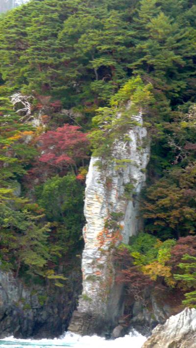 みちのく一人旅?-10ウミネコ航路・浄土ヶ浜島めぐり