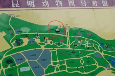 昆明動物園と青年路の風景