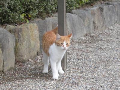 ちょっと奈良まで(世界遺産編)　その2