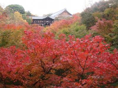 京都・東福寺の紅葉を訪ねて