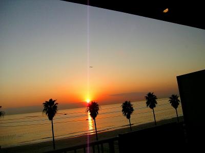 グルメ旅「とらふぐ会席」