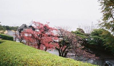 鹿児島 仙巌園