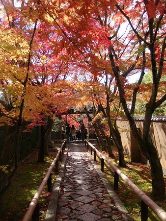 京都・鷹峰の光悦寺の紅葉