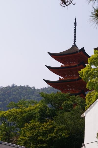 ﾟ*★慰安旅行　広島・宮島★*ﾟ