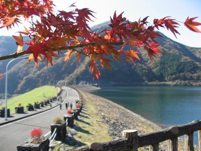 丹沢湖の紅葉