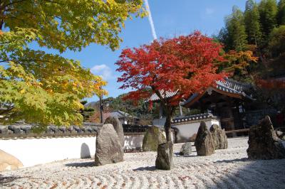 大宰府光明寺の紅葉