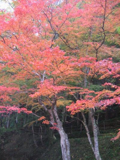 紅葉の香嵐渓