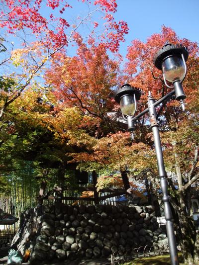 今年2度目の紅葉狩り＠修善寺＆五竜の滝