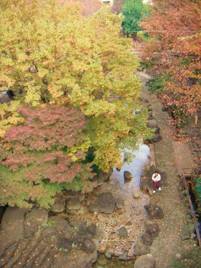 王子神社と飛鳥山公園