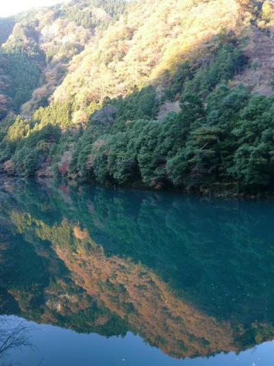 【紅葉２００８】鳩ノ巣渓谷（東京）