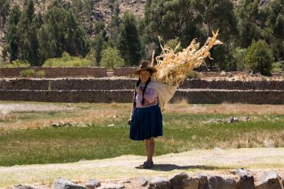 魔のペルー旅行?~クスコからプーノへ~