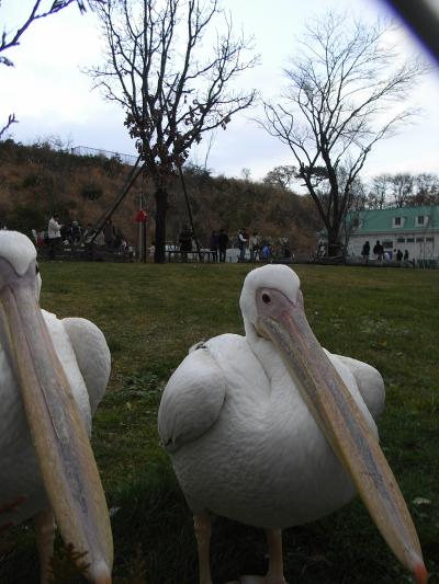 2008年　那須でトホホ