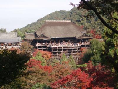 11月の後半の三連休で京都に行ってきました
