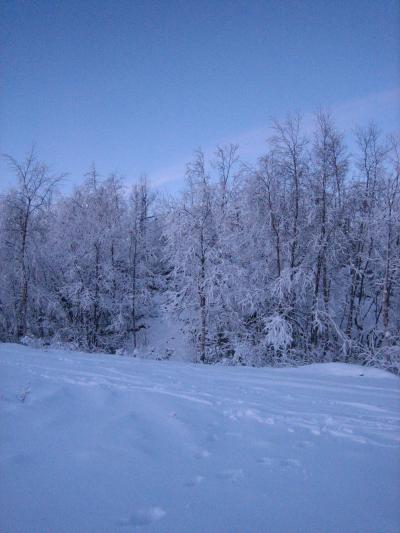 オーロラが見たいんです!