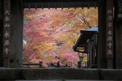 永源寺の紅葉