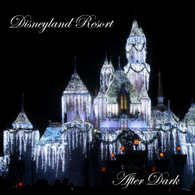 2008 Disneyland Resort After Dark