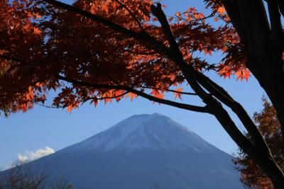 紅葉と新雪の富士を撮る