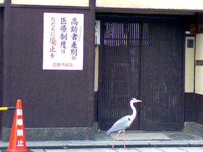 5月の暑い京都