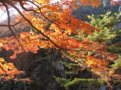 紅葉の昇仙峡を歩く Shoenkyo,Yamanasi pref. Japan