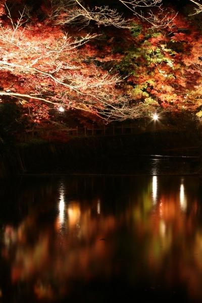 小さな旅●瀬戸の紅葉２ 夜の岩屋堂公園・ライトアップ
