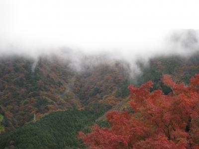 老舗ホテルに泊まる箱根旅行～１日目～