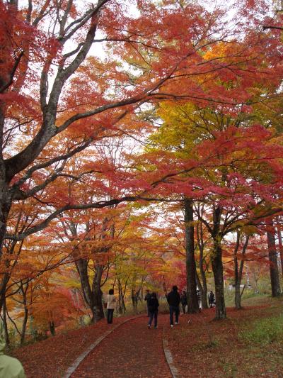 紅葉の富士五湖