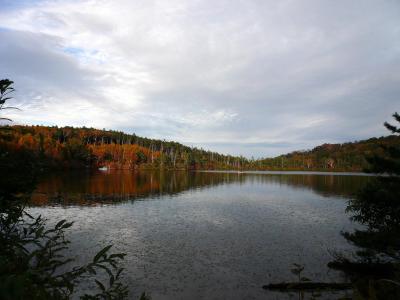 2008白駒池紅葉