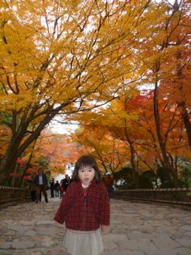 2008年秋の京都