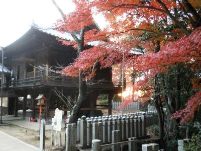 犬山寂光院の紅葉　2008.12.1（月）