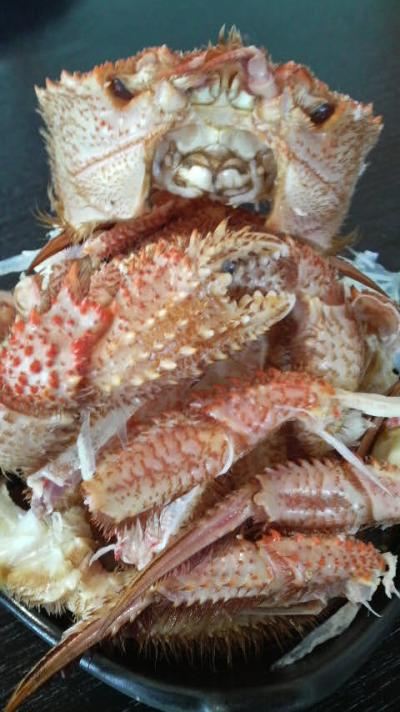 北海道2日目(2)キツネ牧場→網走→カニ三昧!