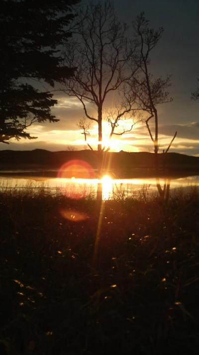 北海道2日目(4)知床五湖散策