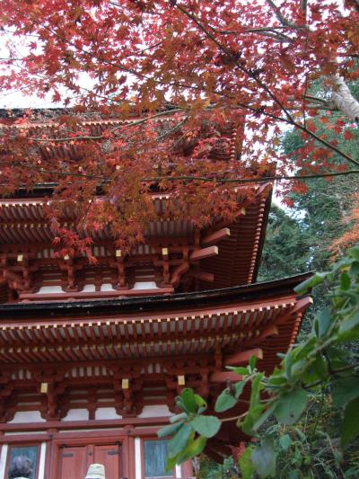 ２００８年秋の古都　浄瑠璃寺へ