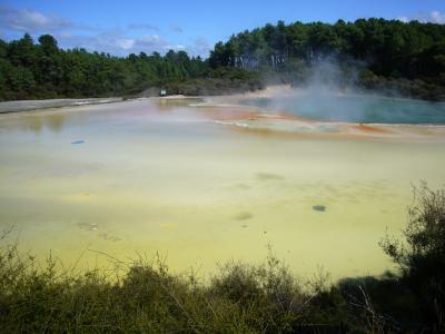 NZ☆バックパッカー体験！