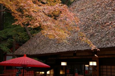 226奈良公園の紅葉