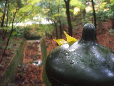 秋の京都・滋賀～②滋賀、湖東三山（百濟寺、金剛輪寺）、石山寺