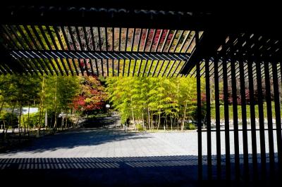 東急那須リゾートで過ごす紅葉、アート、温泉の旅！
