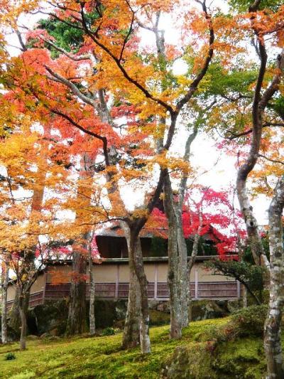 『富士屋ホテル』と箱根美術館庭園