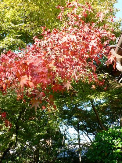 日本の旅　関西を歩く　京都、交野ヶ原の歴史遺産・八幡市善法律寺周辺
