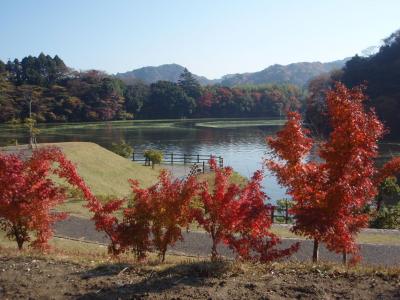 オリジナルバスツアー　亀山湖の紅葉、久留里荘