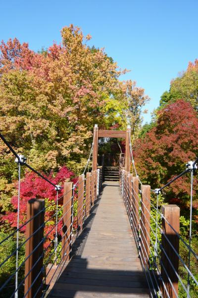 製作中☆秋の万博記念公園2008