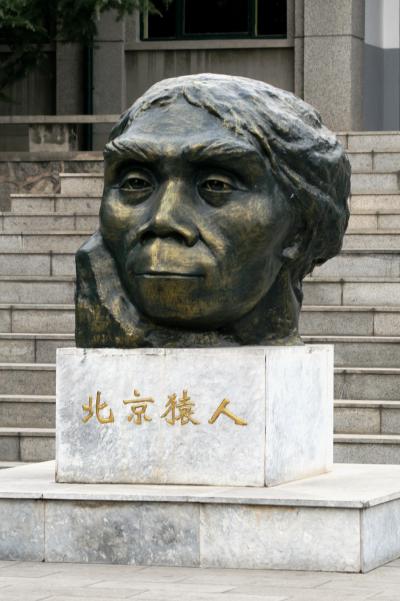 2008秋、中国旅行記15(25/37)：11月18日(3)：北京郊外、周口店、博物館、猿人洞、北京猿人