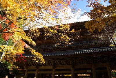 紅葉真っ盛りの永源寺と湖東三山へ