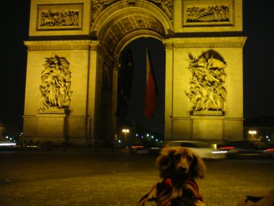 【8泊9日】フランスの旅 with dog～1日目・成田出発編～