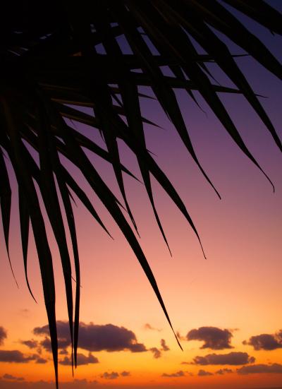 沖縄世界遺産ちょこっと見の旅★2008　01　1日目【読谷村・HOTEL日航アリビラ編】