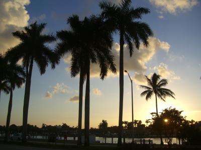 US 2008～MIAMI ７DAYS