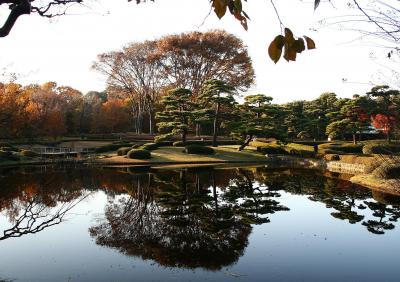 江戸城内はまだまだ秋色！