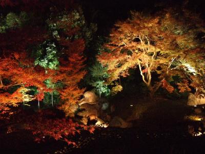 天龍寺塔頭　宝厳院　室町時代の名園♪